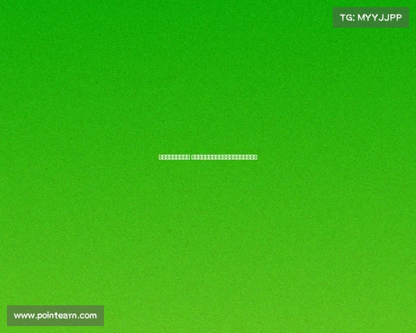 网球赛场背后的故事 揭秘顶级选手训练与赛事筹备的艰辛与荣耀